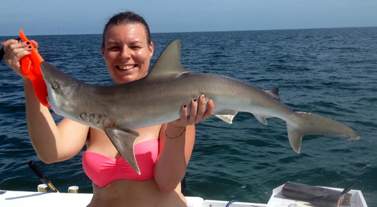 Inshore Shark